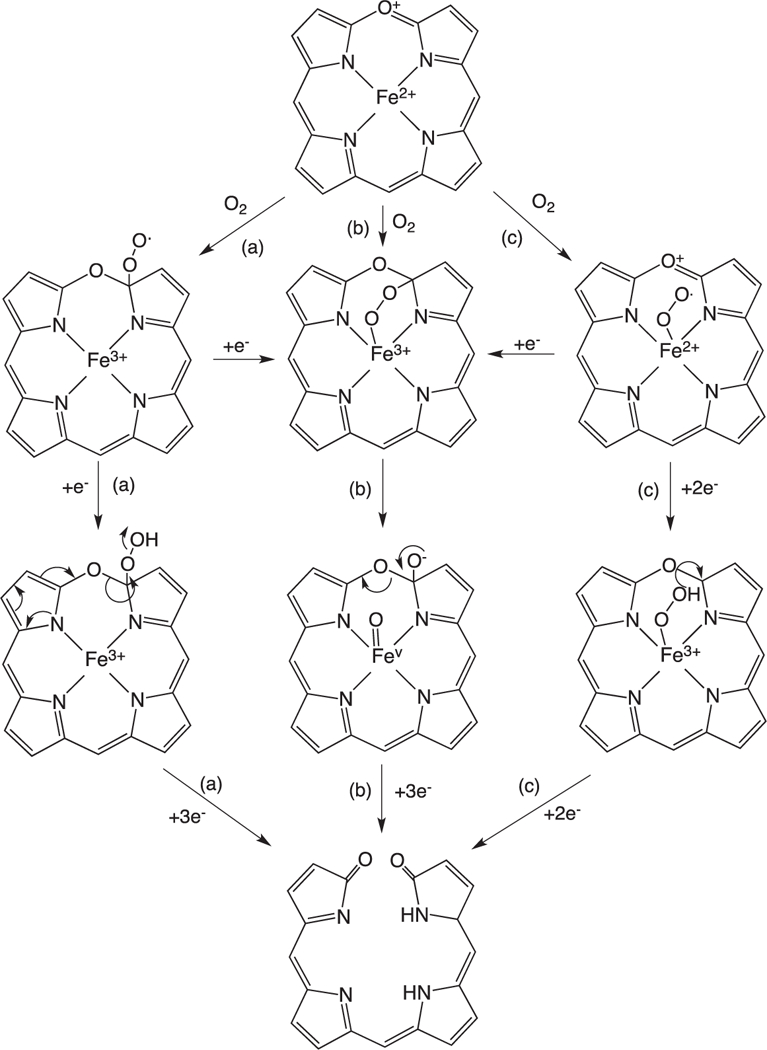 Fig. 9.