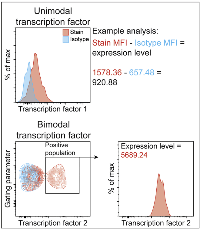 Figure 2