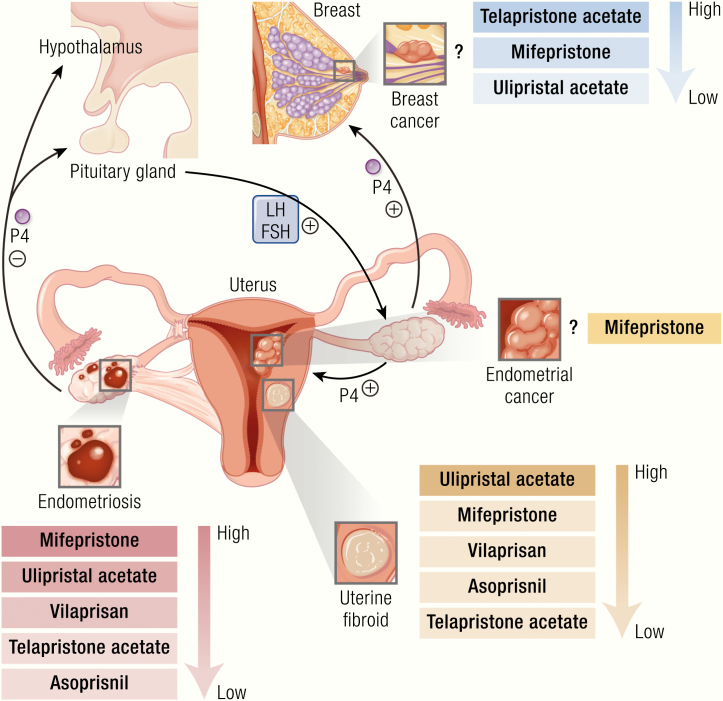 Graphical Abstract