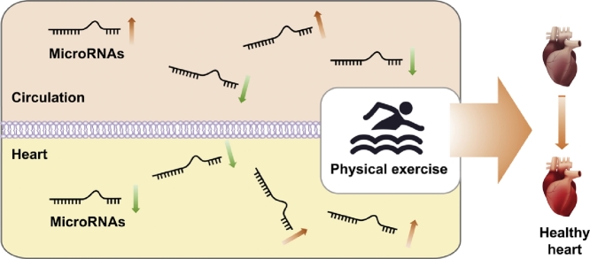 Image, graphical abstract