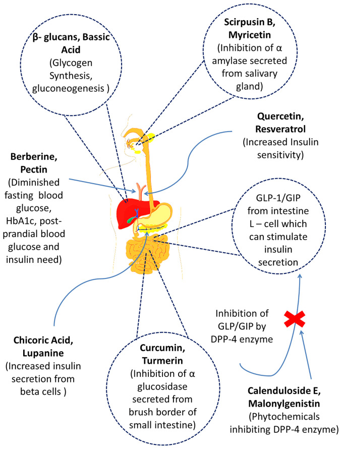 Figure 1