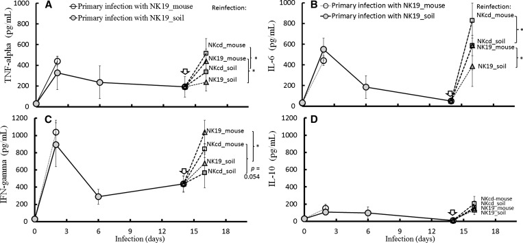 Figure 7.