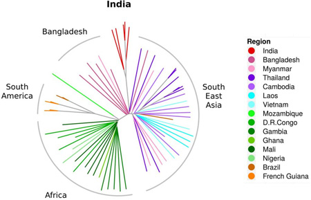 graphic file with name nihms809353f3.jpg