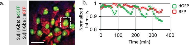 Figure 4—figure supplement 2.