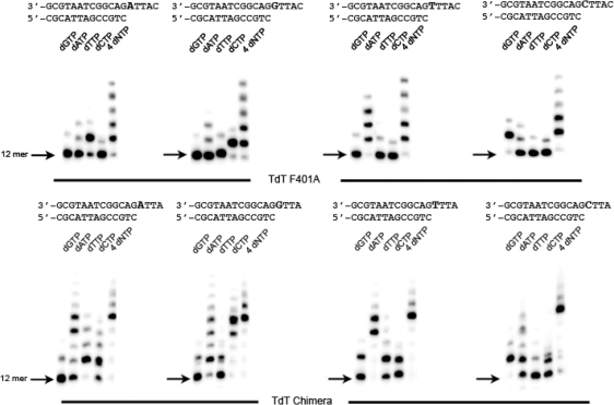 Figure 7.