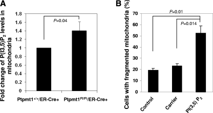 Fig. 8.