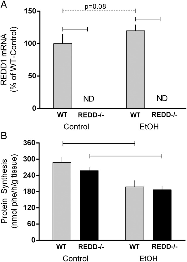 Fig. 2.