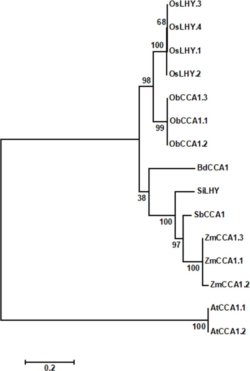 Fig 5