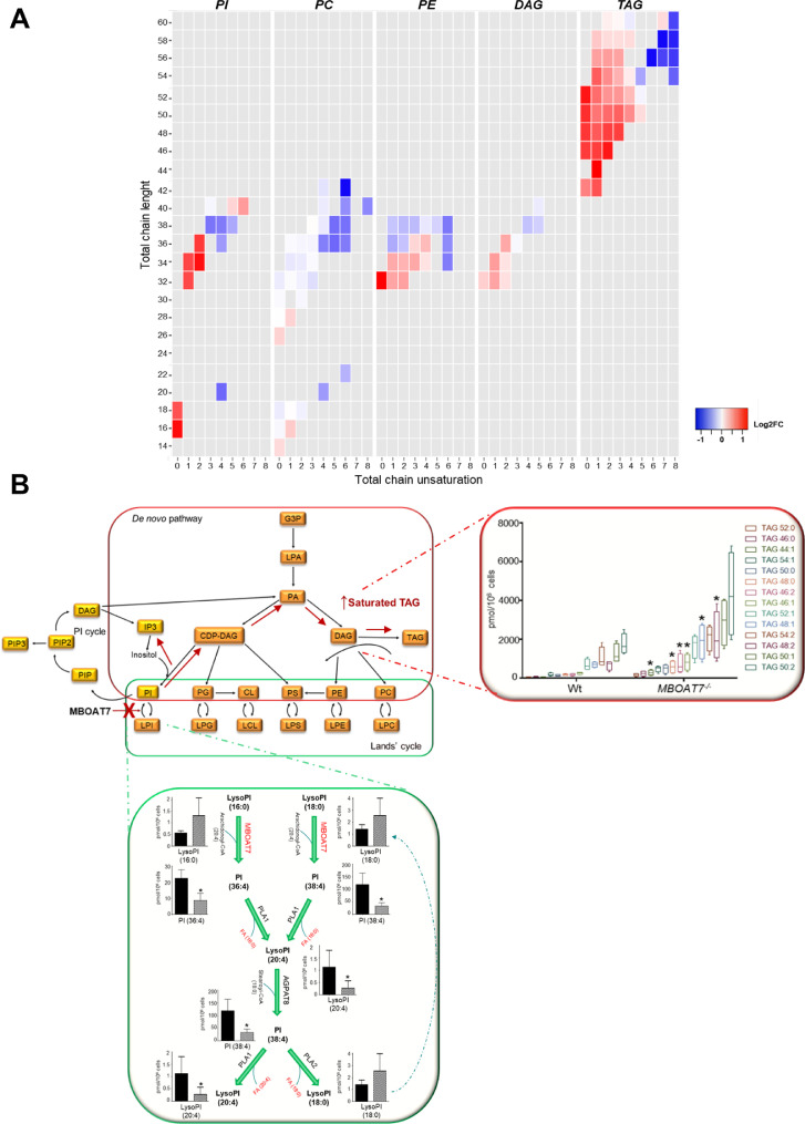 Fig 6