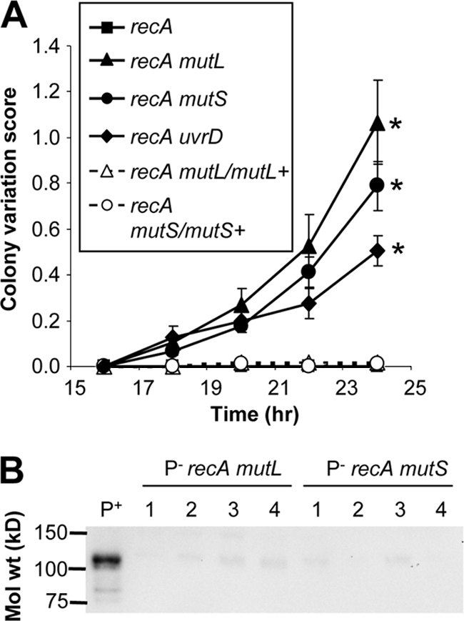 FIG. 5.