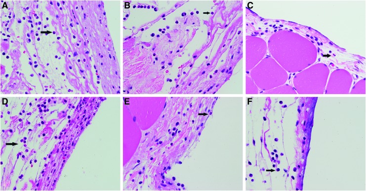 FIG. 4.