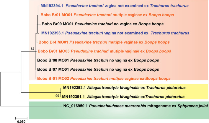 Figure 1