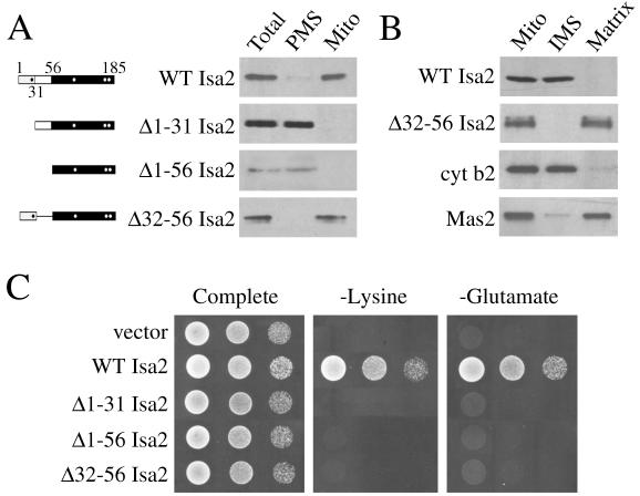 FIG. 7