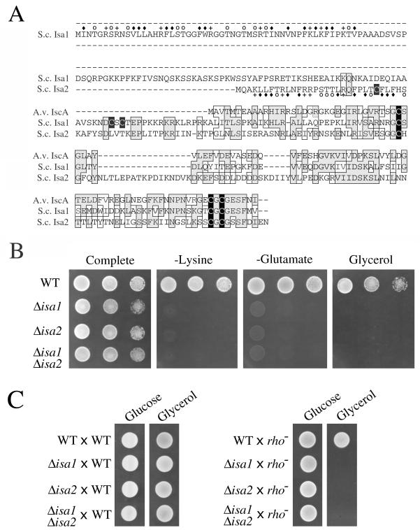 FIG. 1