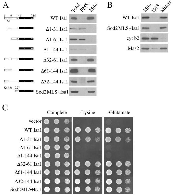 FIG. 6