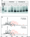 FIG. 1.