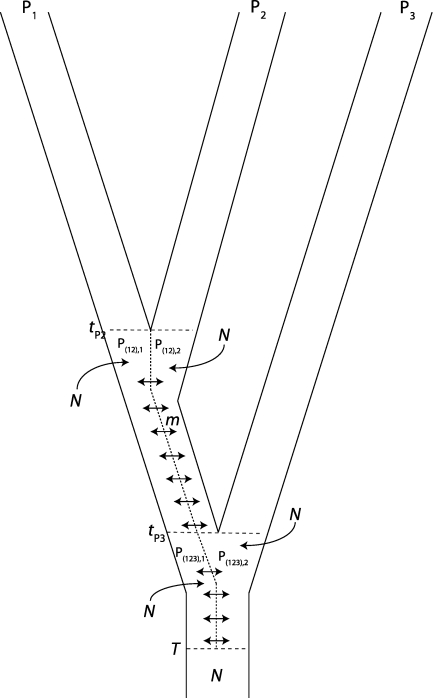 FIG. 3.