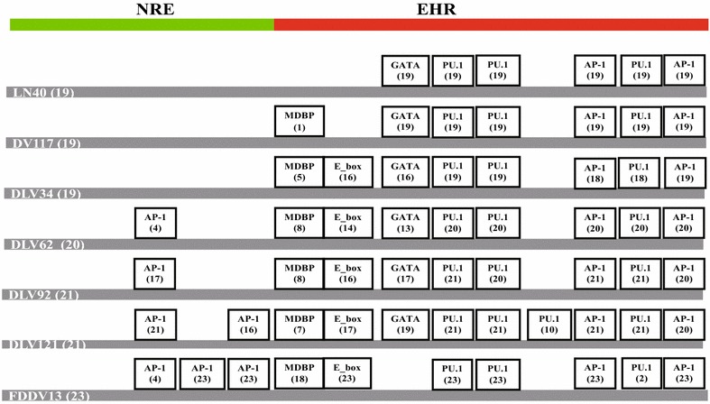 Fig. 3