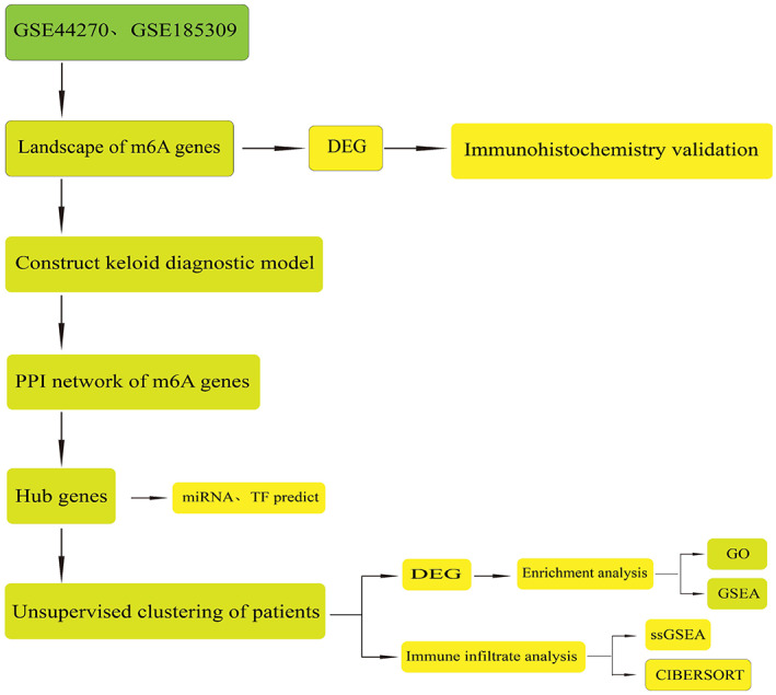 FIGURE 1