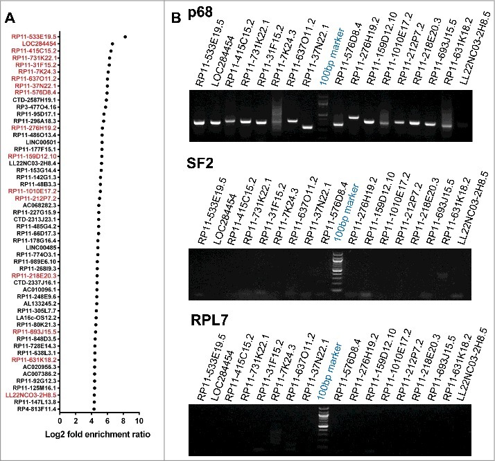 Figure 2.