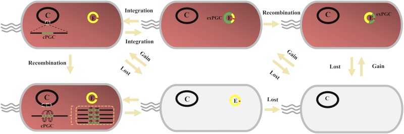 FIG 5