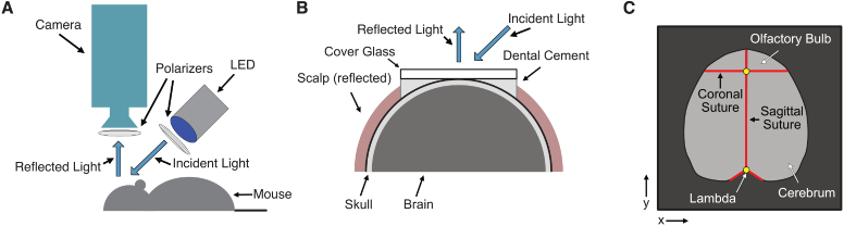 Fig. 1.