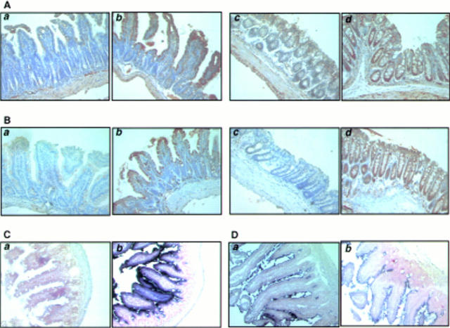 Figure 2  