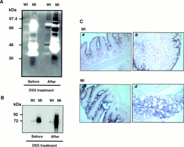 Figure 6  