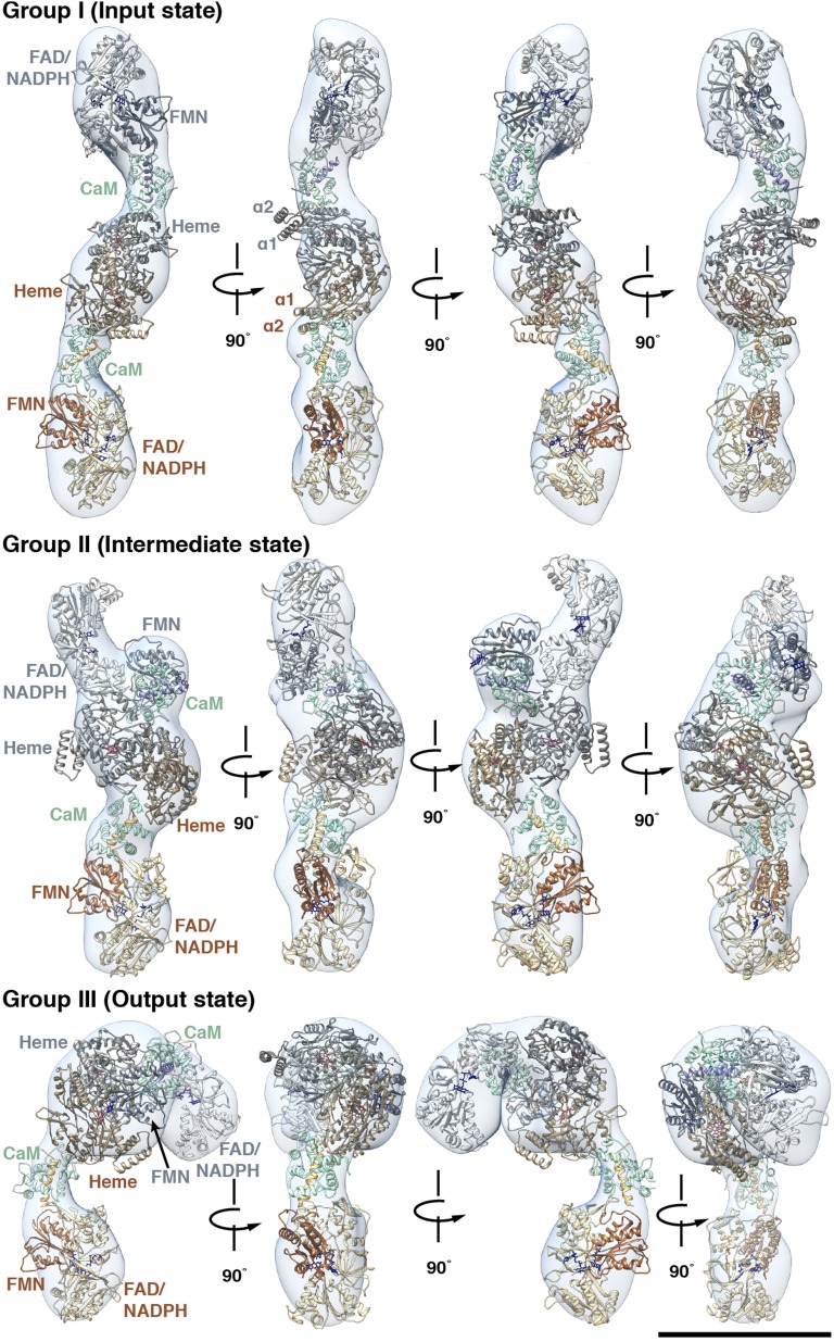 Fig. 4.