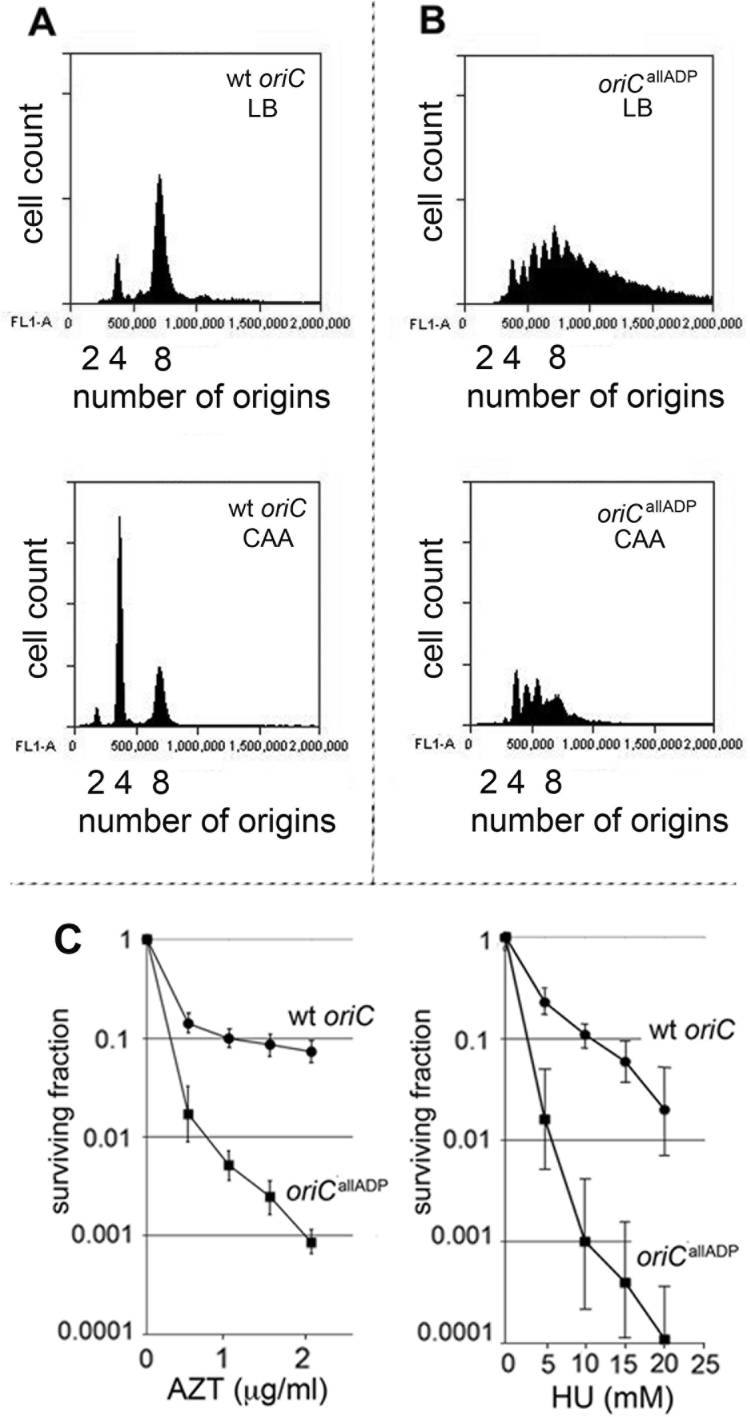 Figure 5.