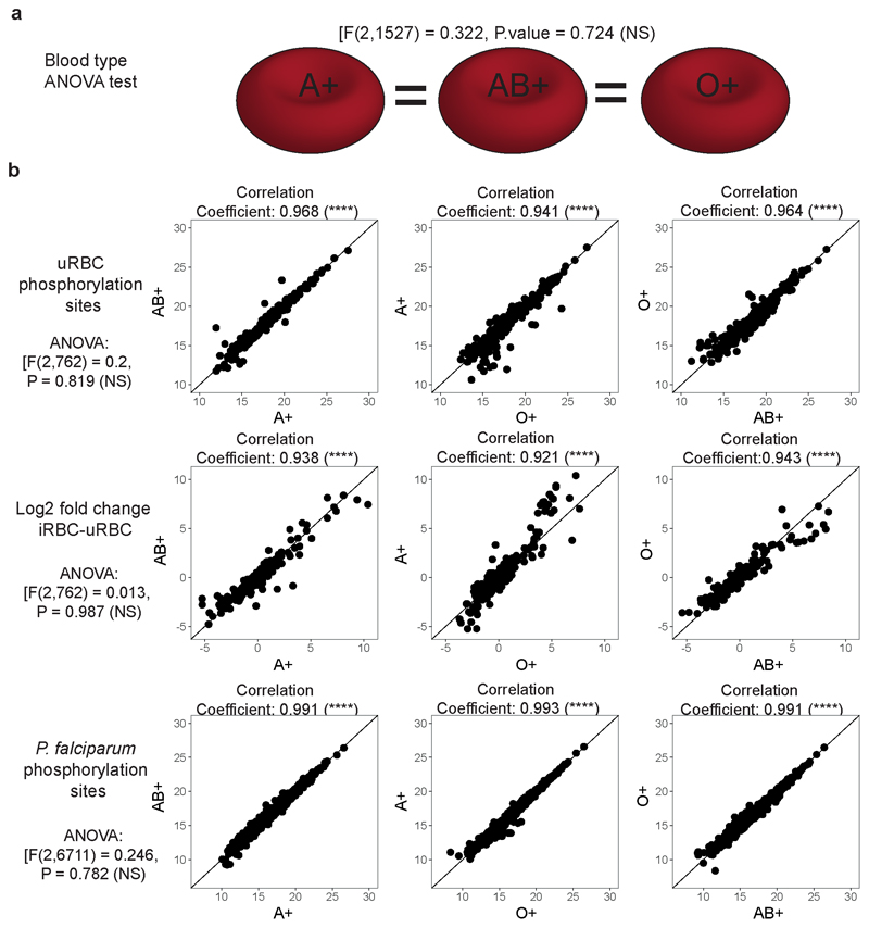 Extended Data Fig. 1