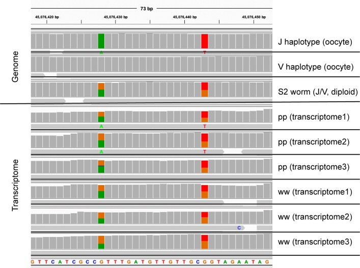 Extended Data Fig. 8