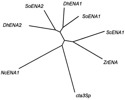 FIG. 1