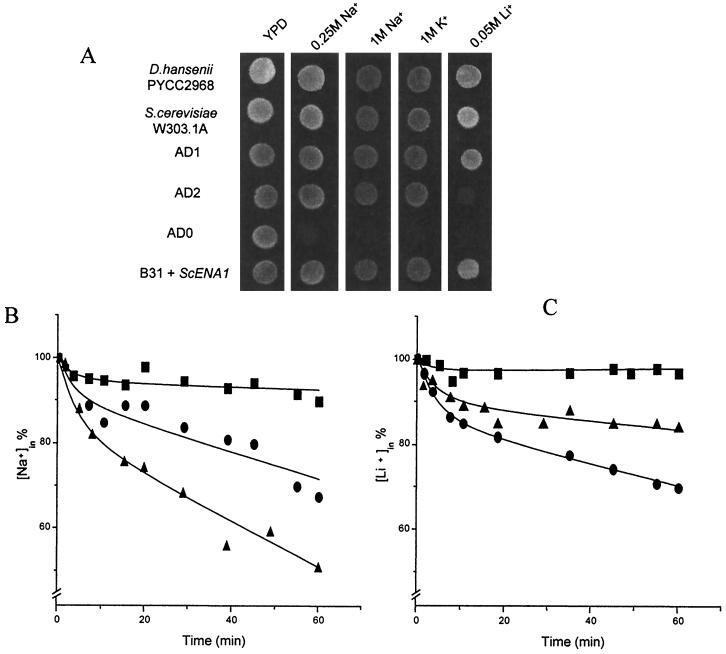 FIG. 3