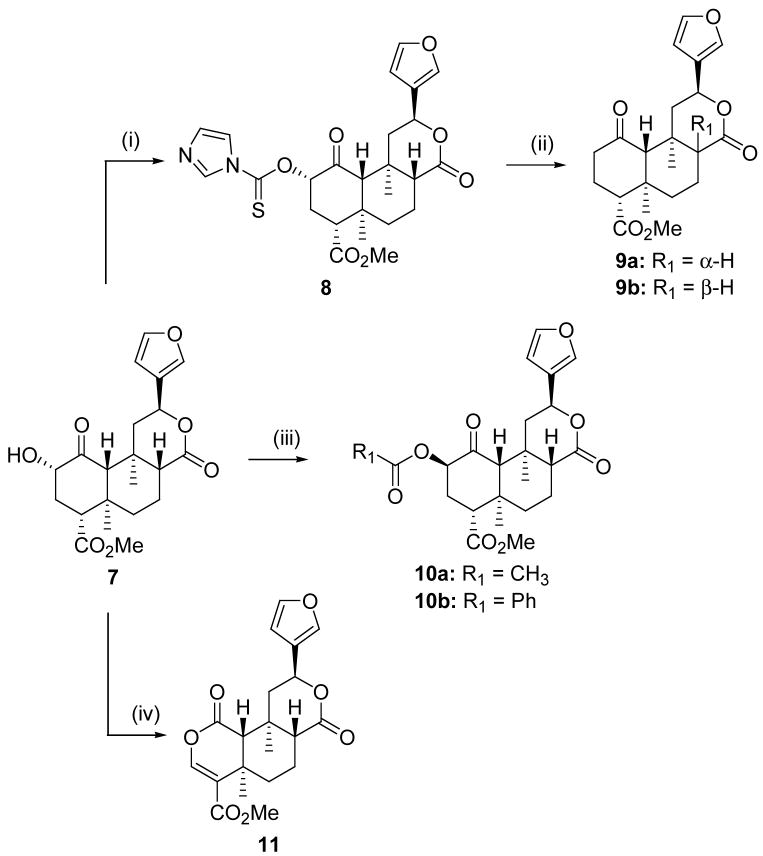 Scheme 2