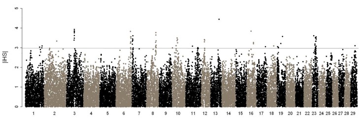 Fig 2