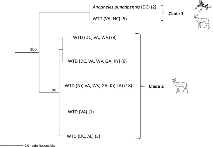 Fig. 4