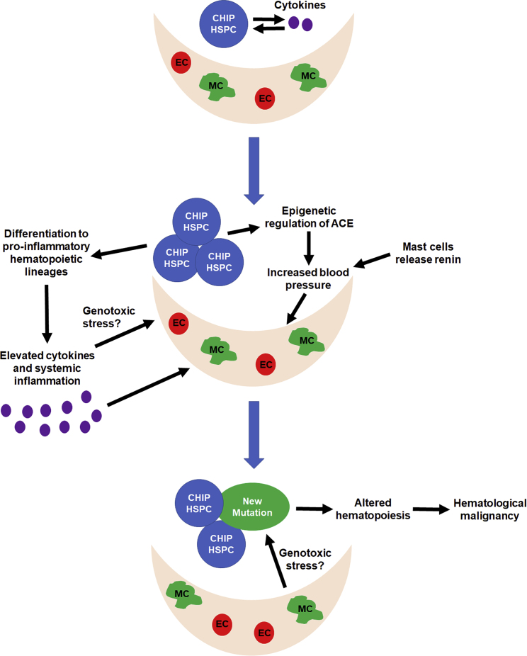 Figure 4