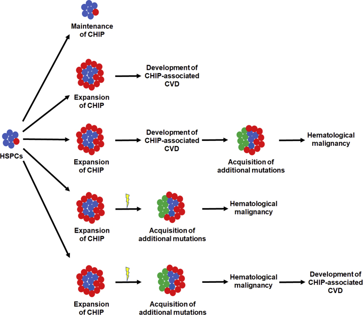 Figure 3