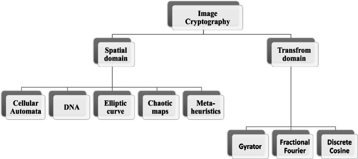 Fig. 5