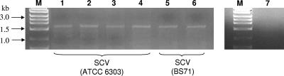 FIG. 7.