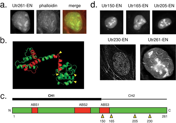 FIGURE 2: