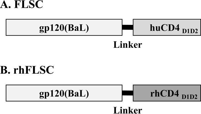 FIG 1