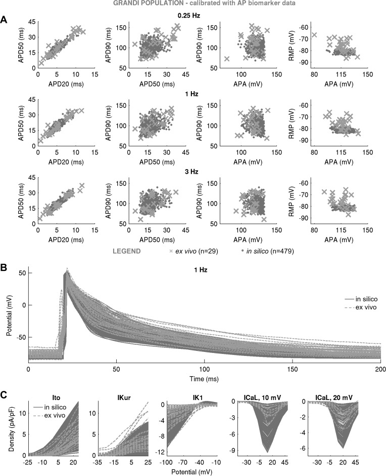 Fig. 6.