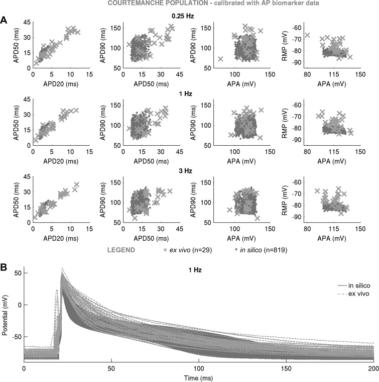 Fig. 7.