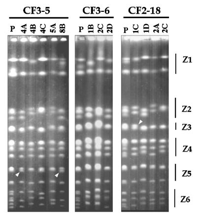 FIG. 3