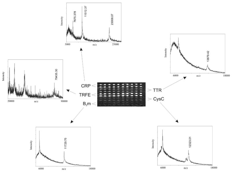 Fig.2