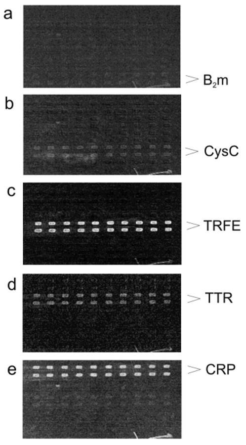 Fig.1