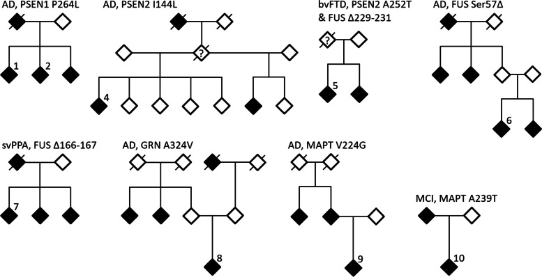 Fig. 1