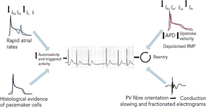 Figure 2: